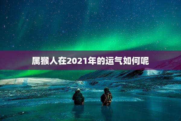 属猴人在2021年的运气如何呢