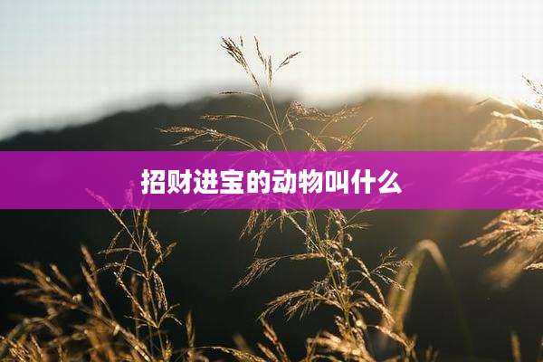 招财进宝的动物叫什么