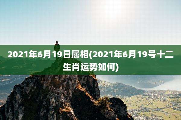 2021年6月19日属相(2021年6月19号十二生肖运势如何)
