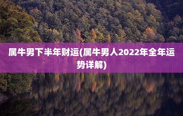 属牛男下半年财运(属牛男人2022年全年运势详解)