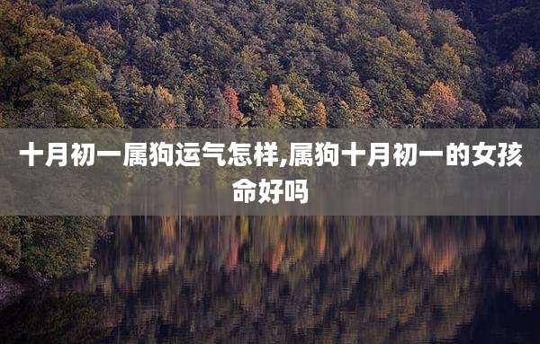 十月初一属狗运气怎样,属狗十月初一的女孩命好吗