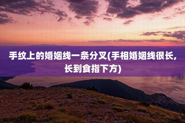 手纹上的婚姻线一条分叉(手相婚姻线很长,长到食指下方)