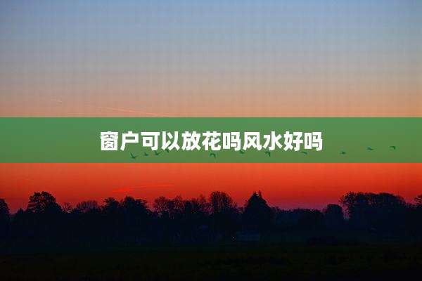 窗户可以放花吗风水好吗