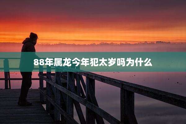 88年属龙今年犯太岁吗为什么