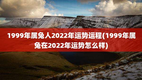 1999年属兔人2022年运势运程(1999年属兔在2022年运势怎么样)