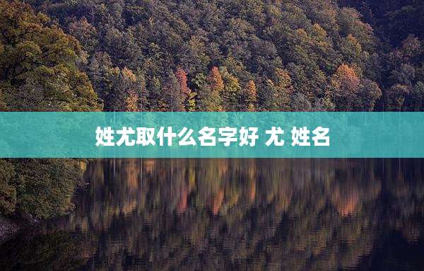 姓尤取什么名字好 尤 姓名