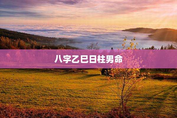 八字乙巳日柱男命