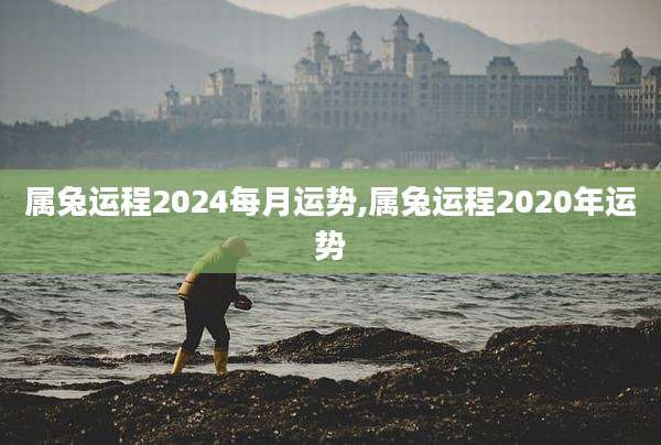 属兔运程2024每月运势,属兔运程2020年运势