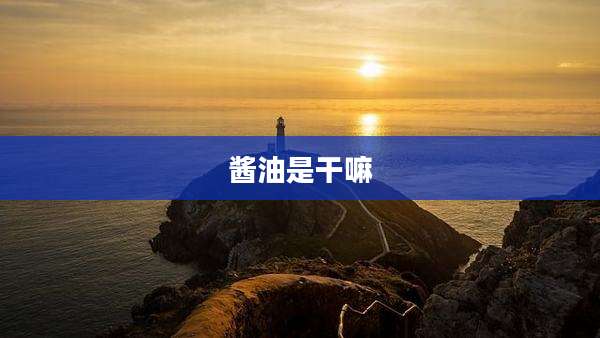 酱油是干嘛