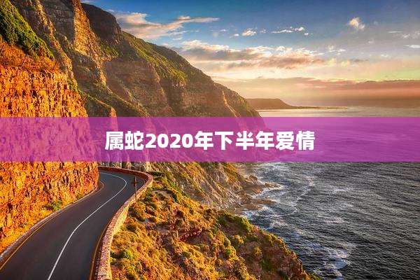 属蛇2020年下半年爱情