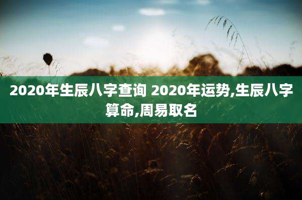 2020年生辰八字查询 2020年运势,生辰八字算命,周易取名
