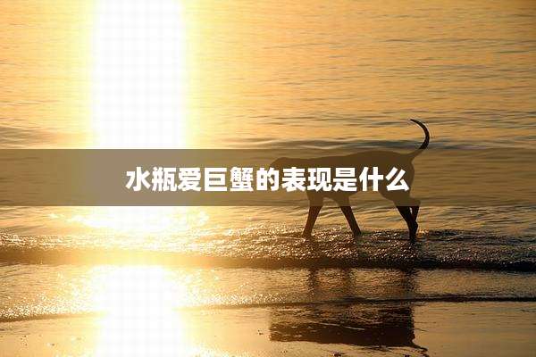 水瓶爱巨蟹的表现是什么