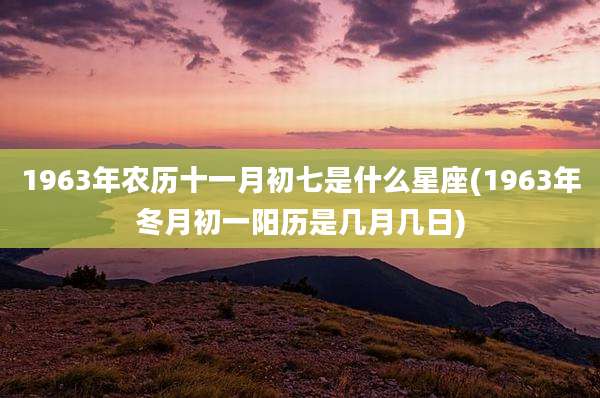 1963年农历十一月初七是什么星座(1963年冬月初一阳历是几月几日)