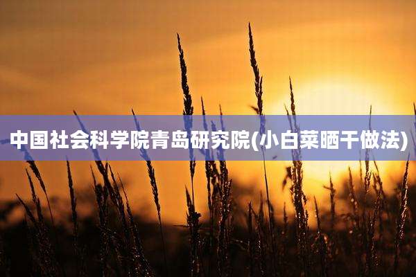 中国社会科学院青岛研究院(小白菜晒干做法)