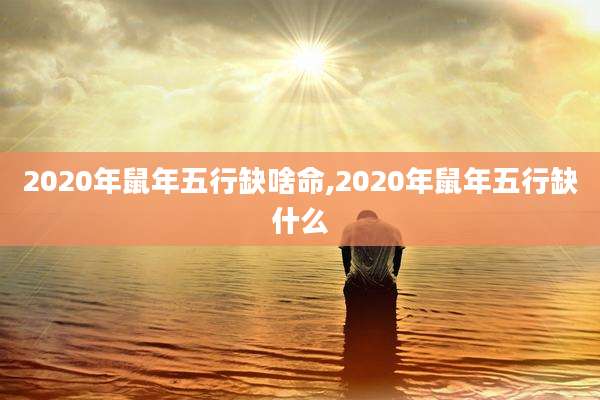 2020年鼠年五行缺啥命,2020年鼠年五行缺什么