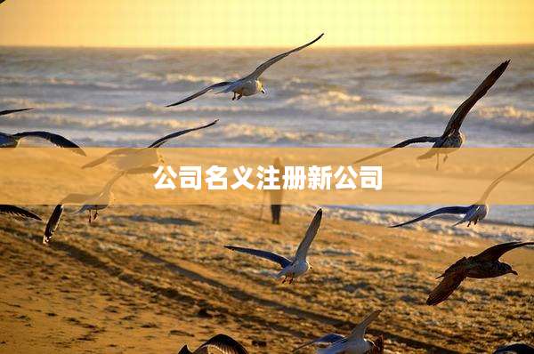 公司名义注册新公司