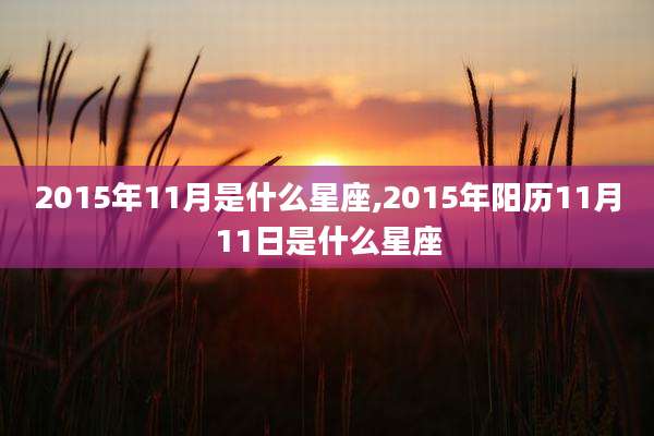 2015年11月是什么星座,2015年阳历11月11日是什么星座