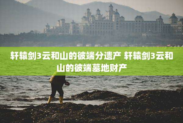 轩辕剑3云和山的彼端分遗产 轩辕剑3云和山的彼端墓地财产