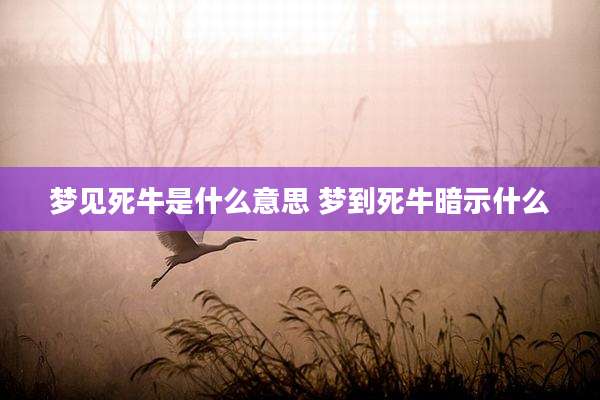 梦见死牛是什么意思 梦到死牛暗示什么