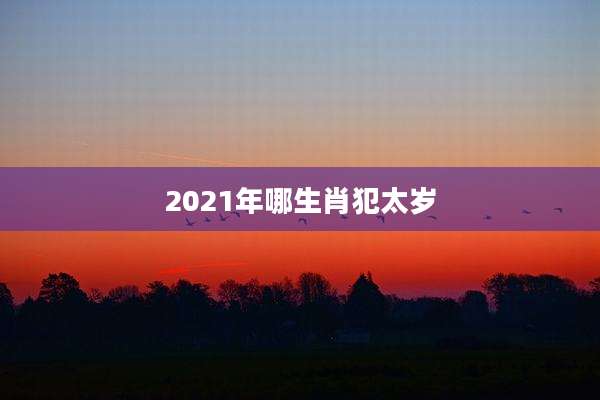 2021年哪生肖犯太岁