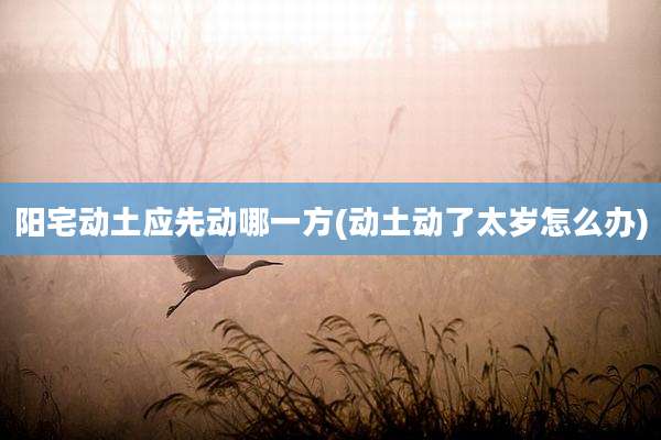 阳宅动土应先动哪一方(动土动了太岁怎么办)