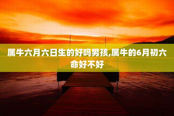 属牛六月六日生的好吗男孩,属牛的6月初六命好不好