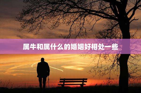 属牛和属什么的婚姻好相处一些