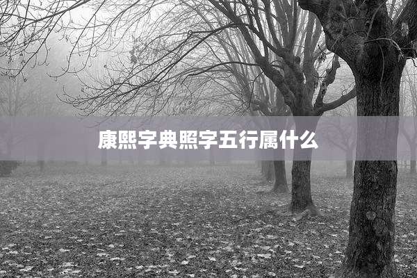 康熙字典照字五行属什么
