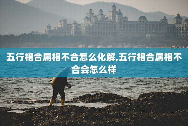五行相合属相不合怎么化解,五行相合属相不合会怎么样