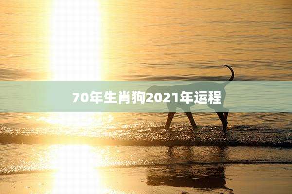 70年生肖狗2021年运程