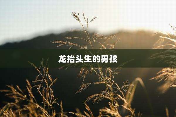 龙抬头生的男孩