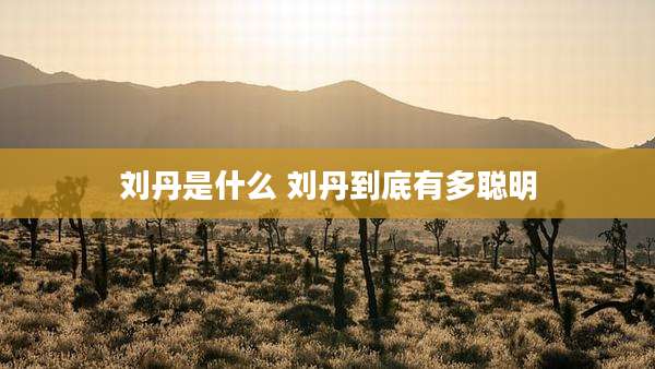 刘丹是什么 刘丹到底有多聪明