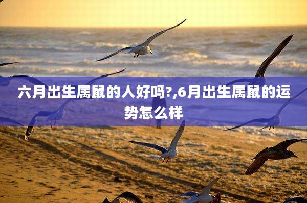 六月出生属鼠的人好吗?,6月出生属鼠的运势怎么样