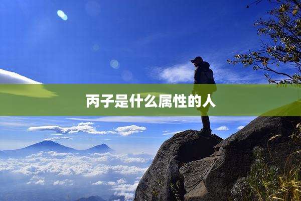 丙子是什么属性的人