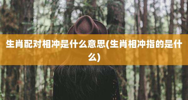 生肖配对相冲是什么意思(生肖相冲指的是什么)