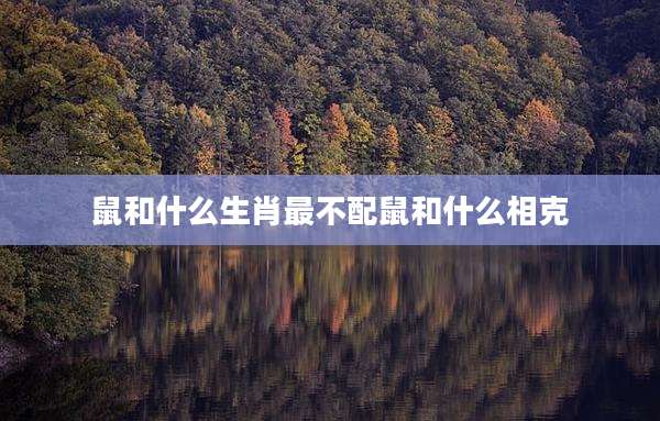 鼠和什么生肖最不配鼠和什么相克