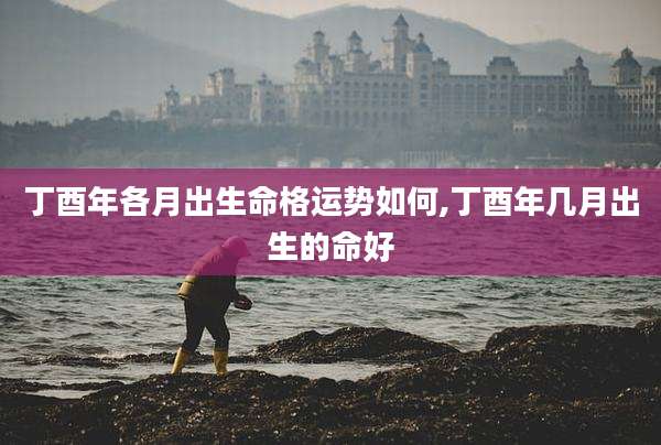 丁酉年各月出生命格运势如何,丁酉年几月出生的命好