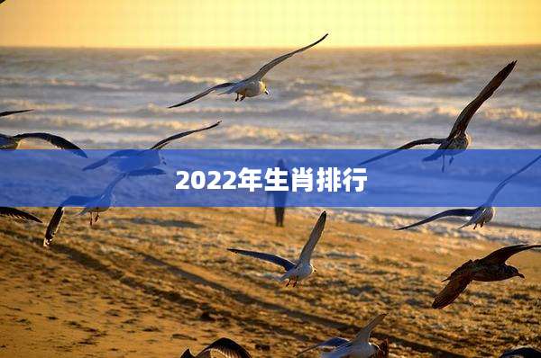 2022年生肖排行