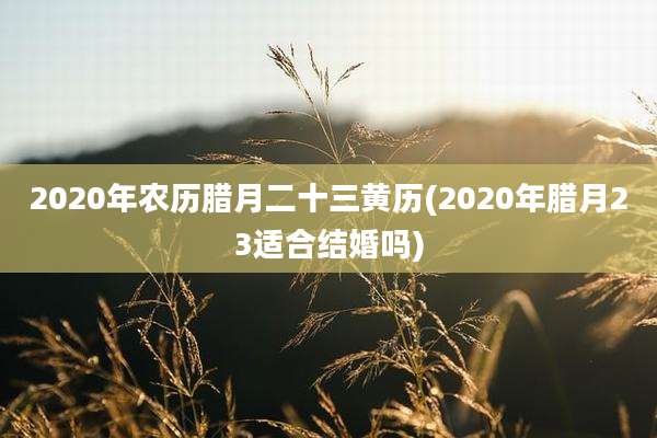 2020年农历腊月二十三黄历(2020年腊月23适合结婚吗)