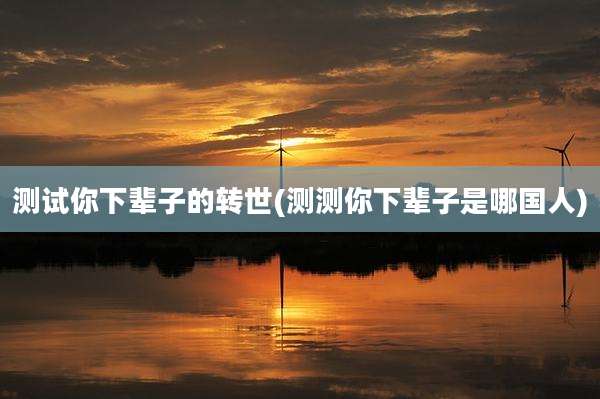 测试你下辈子的转世(测测你下辈子是哪国人)