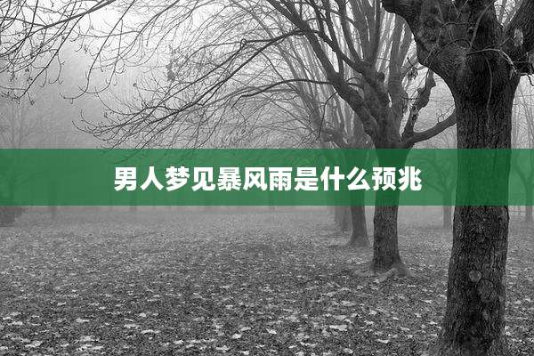 男人梦见暴风雨是什么预兆