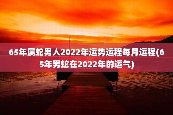 65年属蛇男人2022年运势运程每月运程(65年男蛇在2022年的运气)