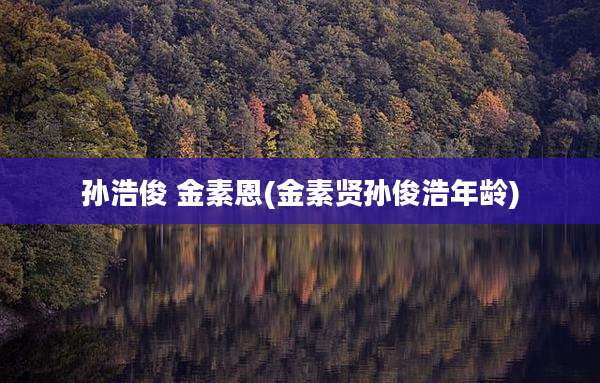 孙浩俊 金素恩(金素贤孙俊浩年龄)