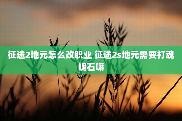 征途2地元怎么改职业 征途2s地元需要打魂魄石嘛