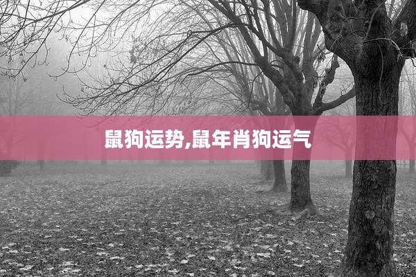 鼠狗运势,鼠年肖狗运气
