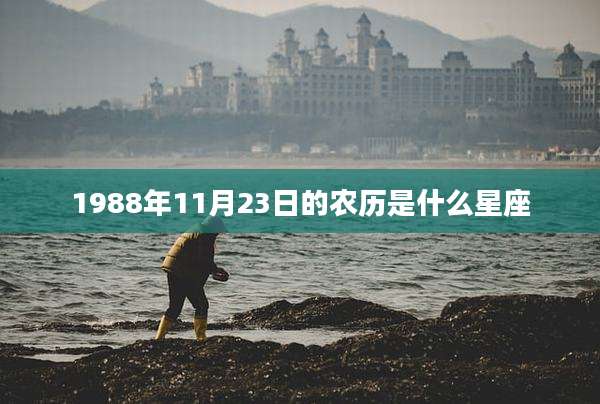 1988年11月23日的农历是什么星座