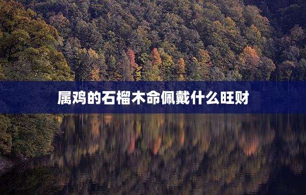 属鸡的石榴木命佩戴什么旺财
