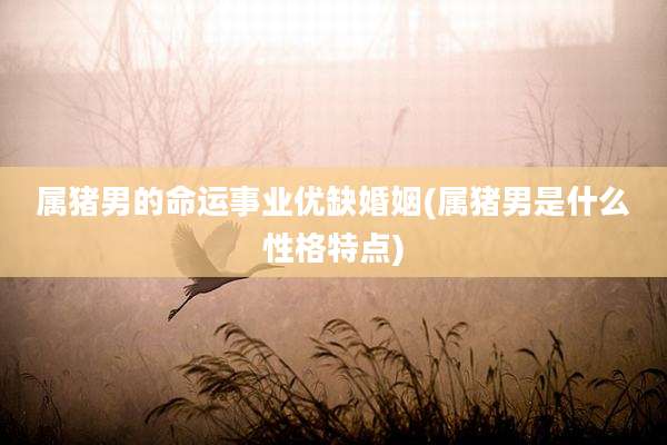 属猪男的命运事业优缺婚姻(属猪男是什么性格特点)