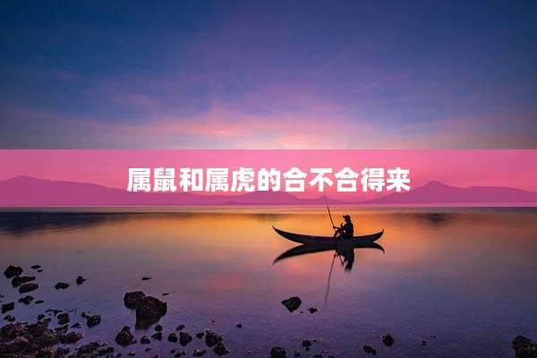 属鼠和属虎的合不合得来