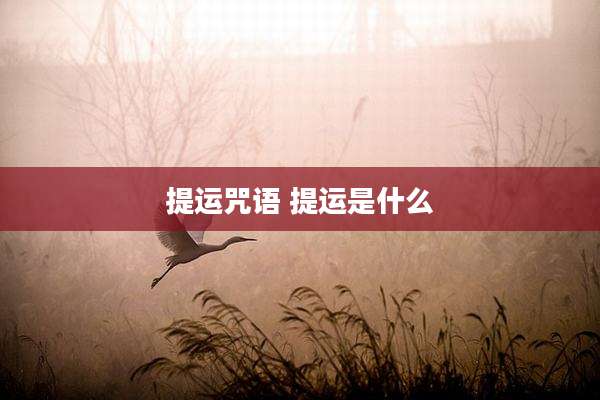提运咒语 提运是什么